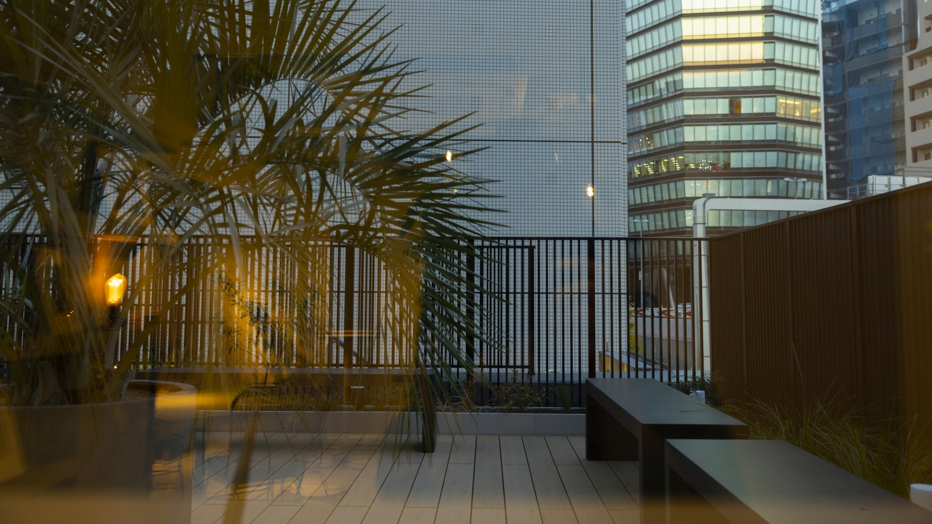 THE N3(ザ・エヌスリー)4階ルーフガーデンの画像